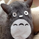 Illustration for article titled An Easy Way To Turn Your Cat into Totoro